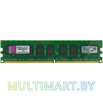Оперативная память Kingston 2GB DDR2 DIMM PC2-5300 (KVR667D2E5/2GI)